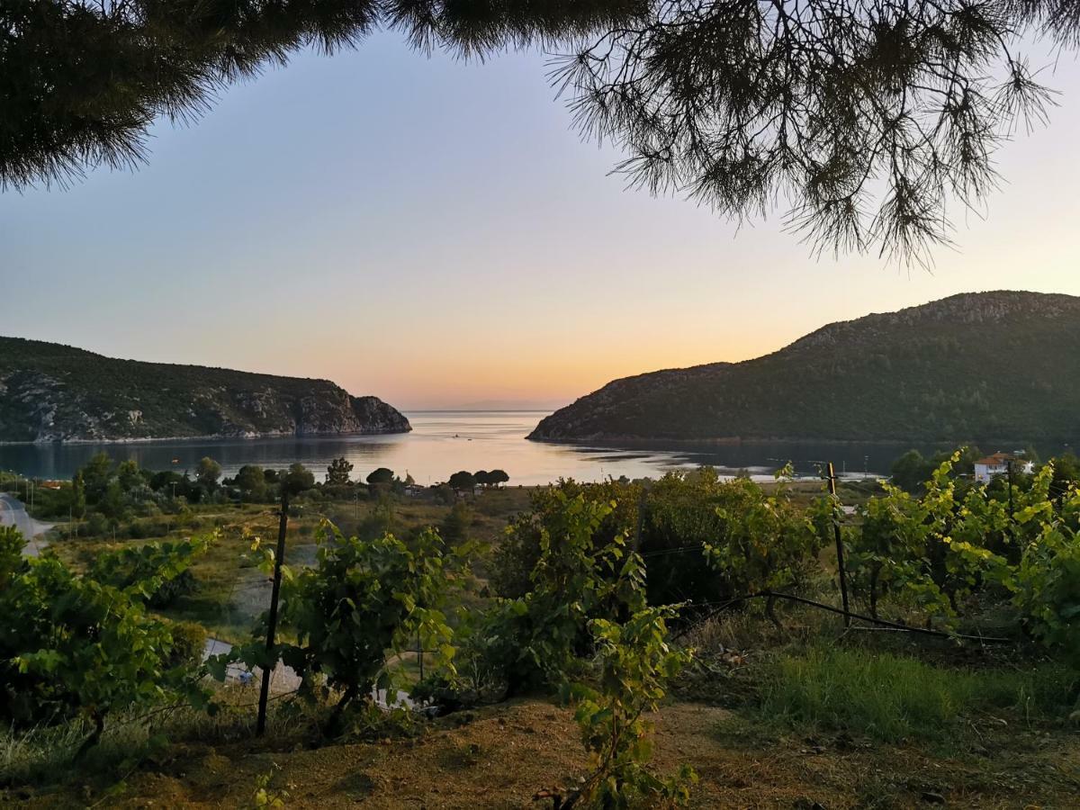 Porto Koufo Resort Bungalows Экстерьер фото